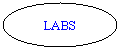 Oval: LABS
