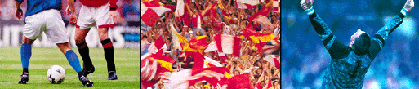 Soccer players and crowd